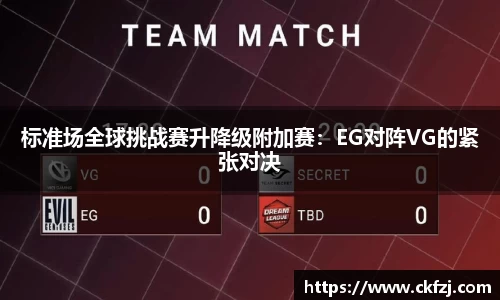标准场全球挑战赛升降级附加赛：EG对阵VG的紧张对决